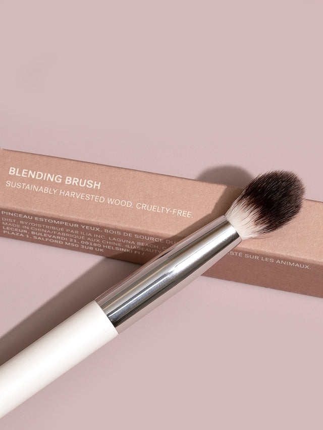 Blending_Brush_683b38dd-d3c8-4b25-a8d5-180a3d236ed8.jpg