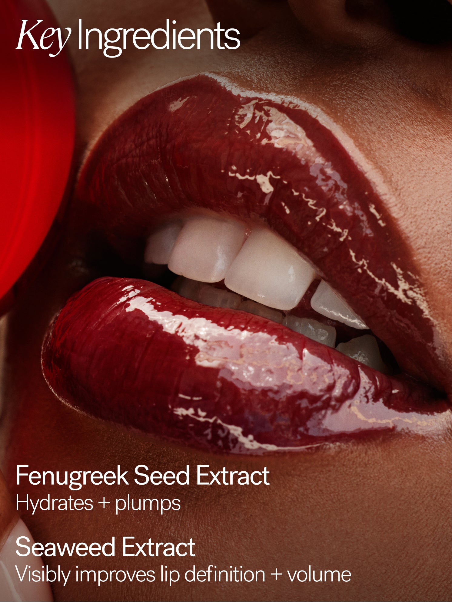 The_Mini_Overglaze_Lip_Gloss_Trio_Ingredients_1500x2000_393c3da5-ad53-40dc-a59b-8a0eed7a2c4f.jpg